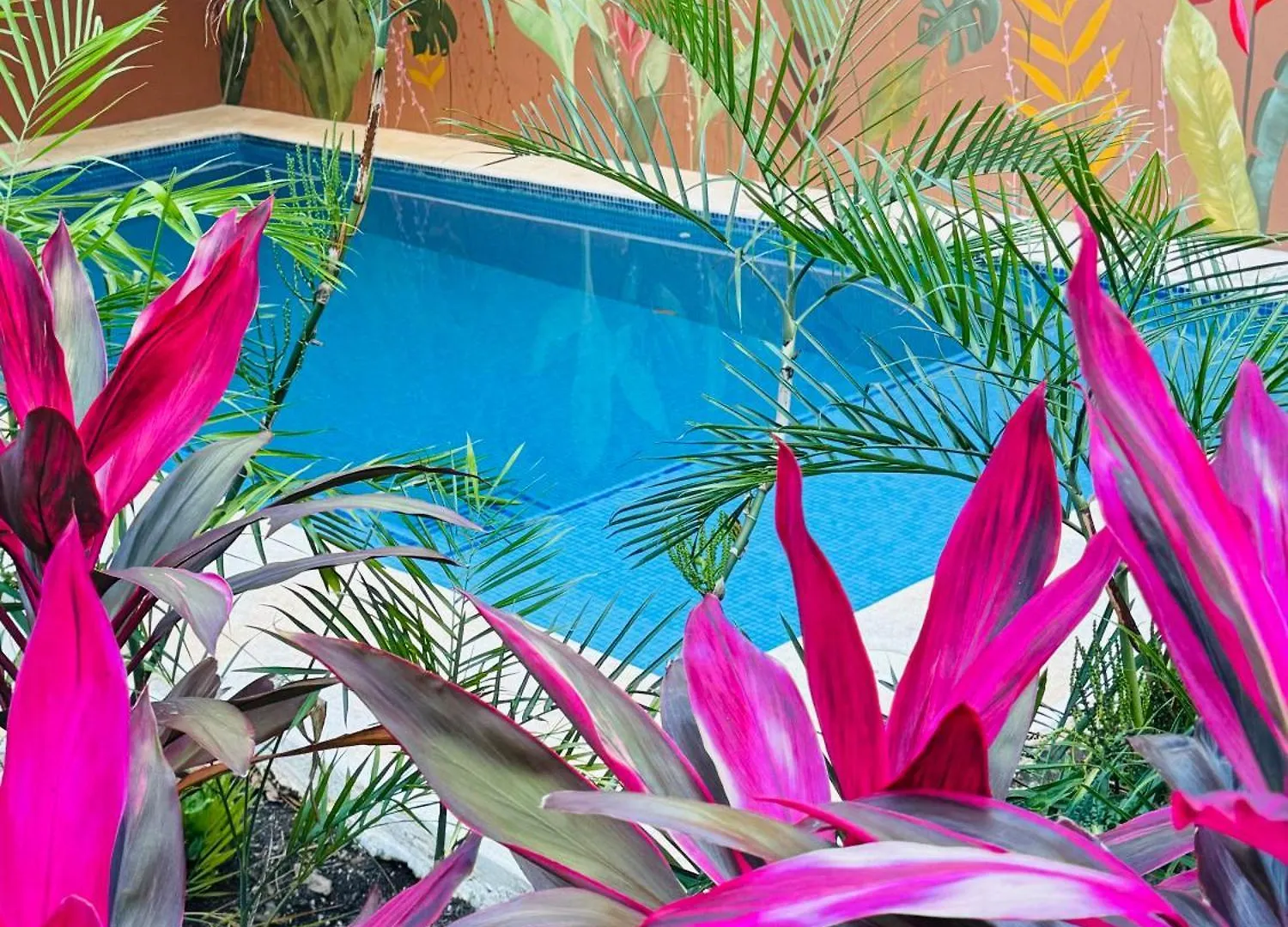 مبيت وإفطار بلايا ديل كارمن Butterfly House 0*,