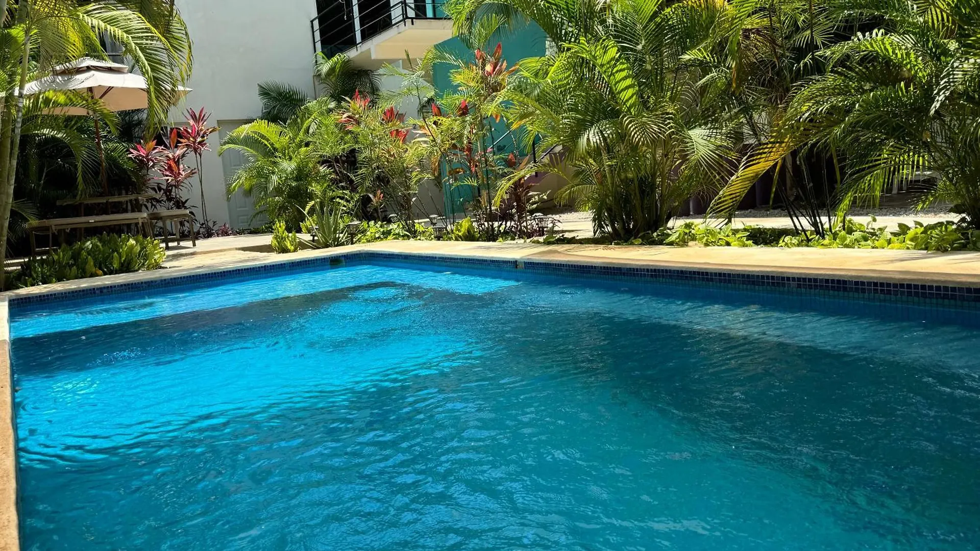 Butterfly House Bed and Breakfast Πλάγια Ντελ Κάρμεν